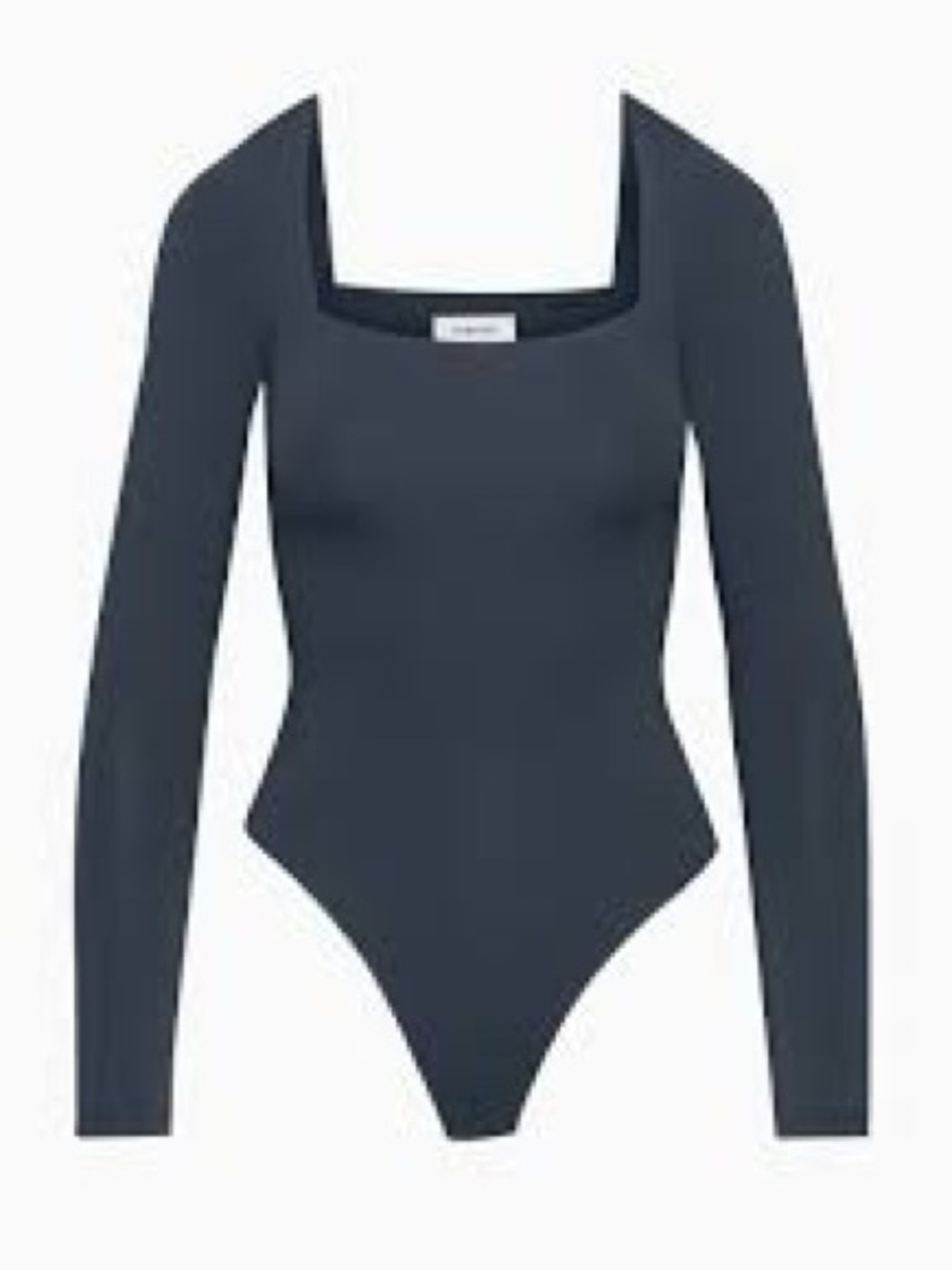 Babaton Aritzia Bodysuit
